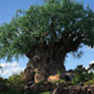 Meet your Posher, Jade